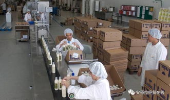 投資1000萬美元的化妝品加工廠在安開業，引領本土美妝產業新格局